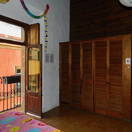 Lele Panchito Y Lavanda Juntos En El Centro Querétaro Dış mekan fotoğraf