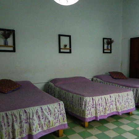 Lele Panchito Y Lavanda Juntos En El Centro Querétaro Dış mekan fotoğraf
