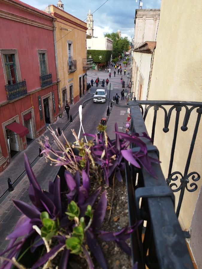 Lele Panchito Y Lavanda Juntos En El Centro Querétaro Dış mekan fotoğraf