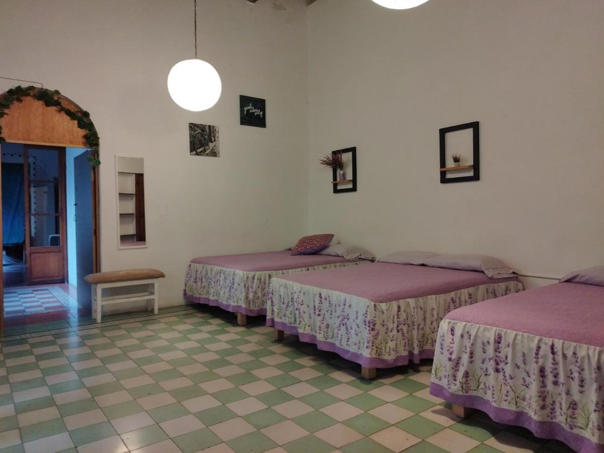Lele Panchito Y Lavanda Juntos En El Centro Querétaro Dış mekan fotoğraf