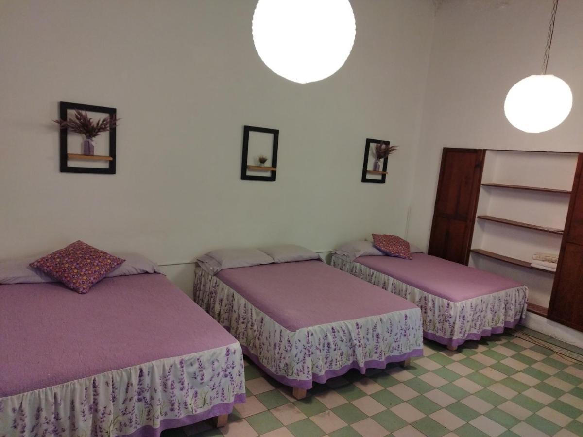 Lele Panchito Y Lavanda Juntos En El Centro Querétaro Dış mekan fotoğraf