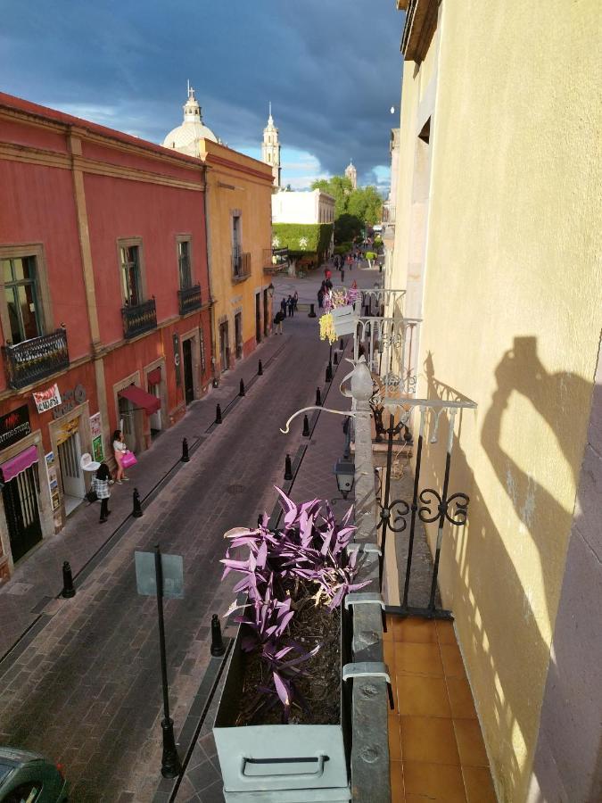 Lele Panchito Y Lavanda Juntos En El Centro Querétaro Dış mekan fotoğraf