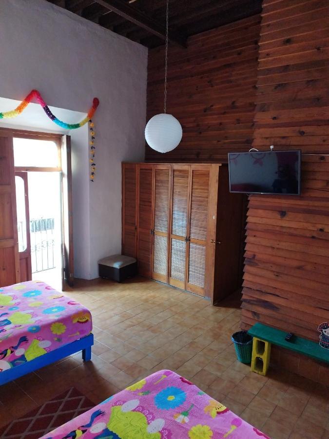 Lele Panchito Y Lavanda Juntos En El Centro Querétaro Dış mekan fotoğraf