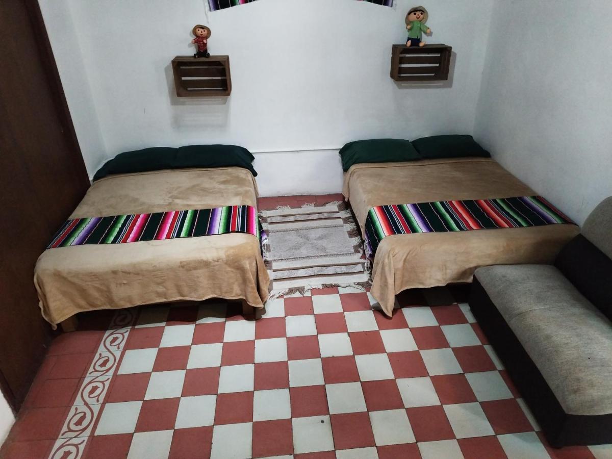 Lele Panchito Y Lavanda Juntos En El Centro Querétaro Dış mekan fotoğraf
