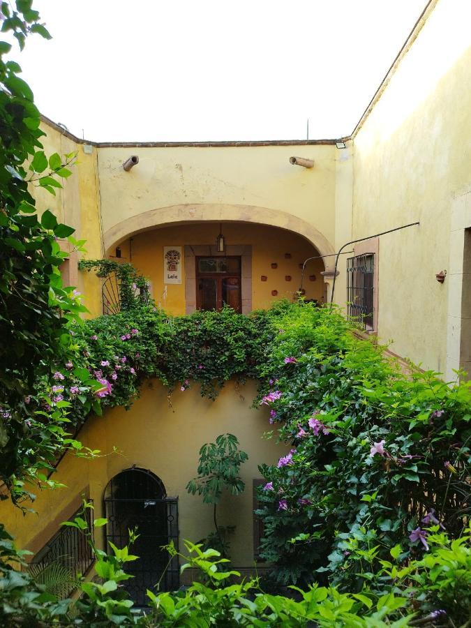 Lele Panchito Y Lavanda Juntos En El Centro Querétaro Dış mekan fotoğraf