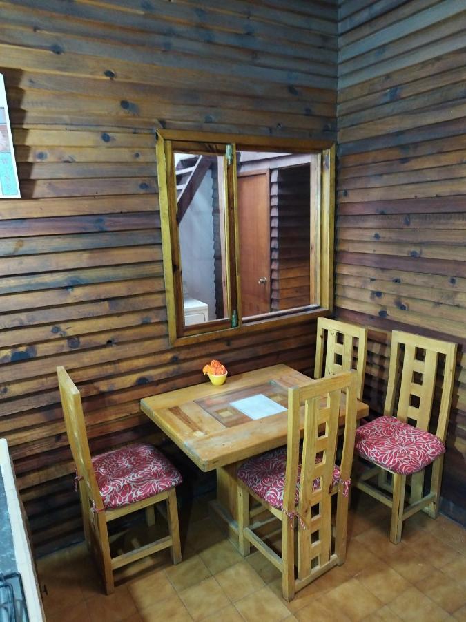 Lele Panchito Y Lavanda Juntos En El Centro Querétaro Dış mekan fotoğraf