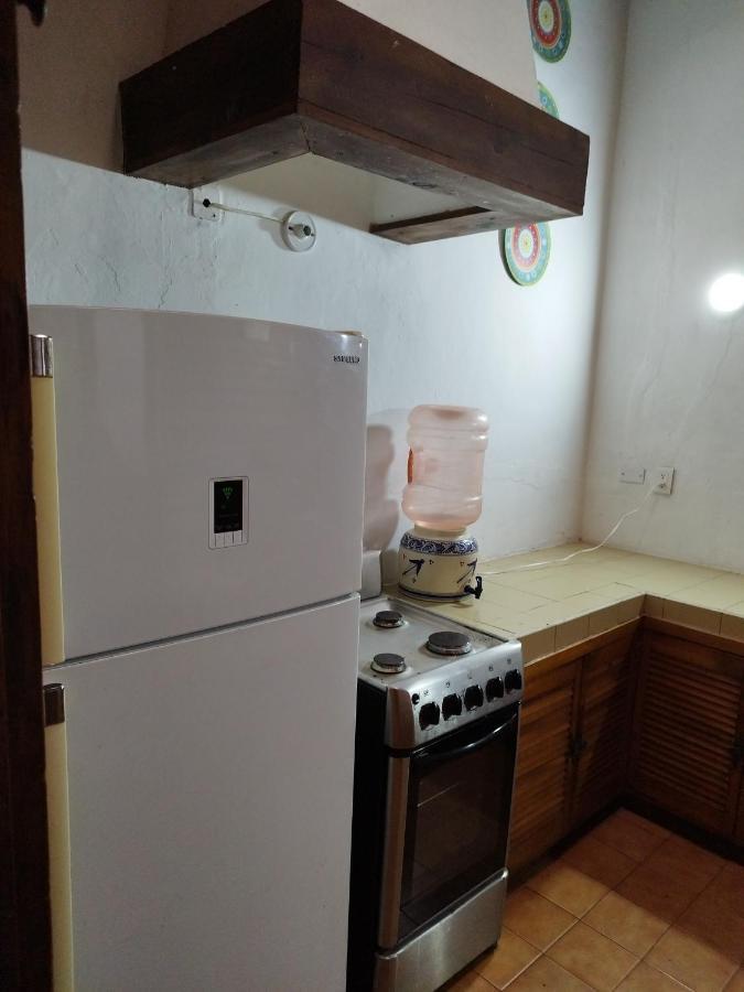 Lele Panchito Y Lavanda Juntos En El Centro Querétaro Dış mekan fotoğraf