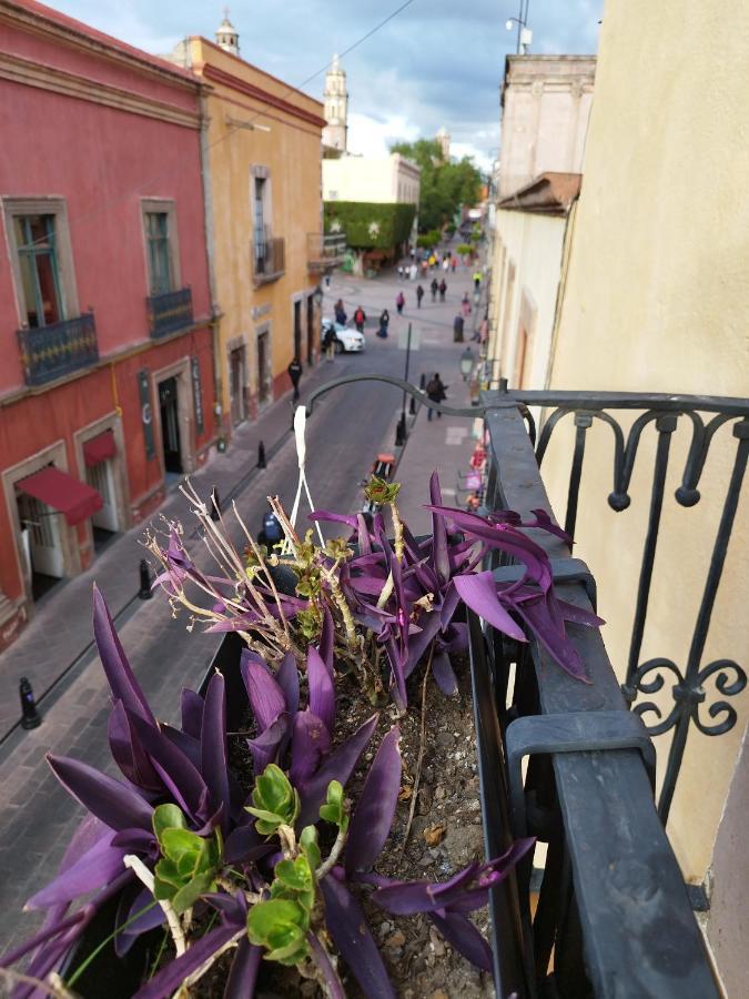 Lele Panchito Y Lavanda Juntos En El Centro Querétaro Dış mekan fotoğraf