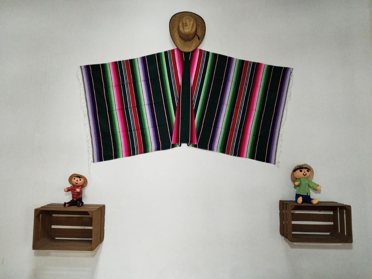 Lele Panchito Y Lavanda Juntos En El Centro Querétaro Dış mekan fotoğraf