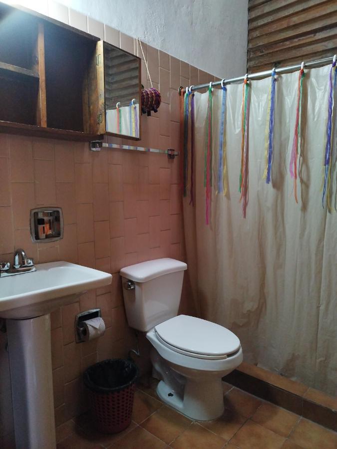 Lele Panchito Y Lavanda Juntos En El Centro Querétaro Dış mekan fotoğraf