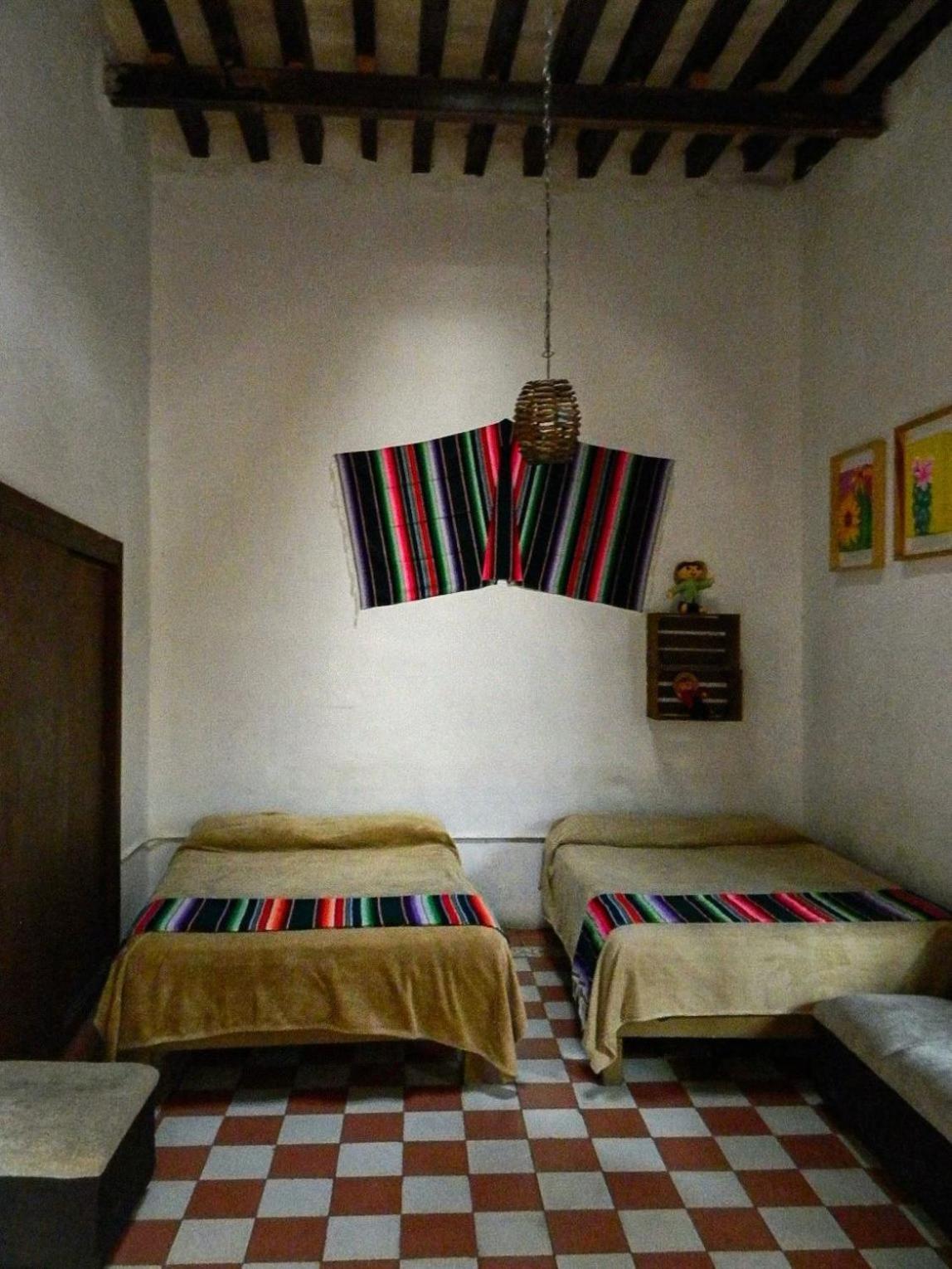 Lele Panchito Y Lavanda Juntos En El Centro Querétaro Dış mekan fotoğraf