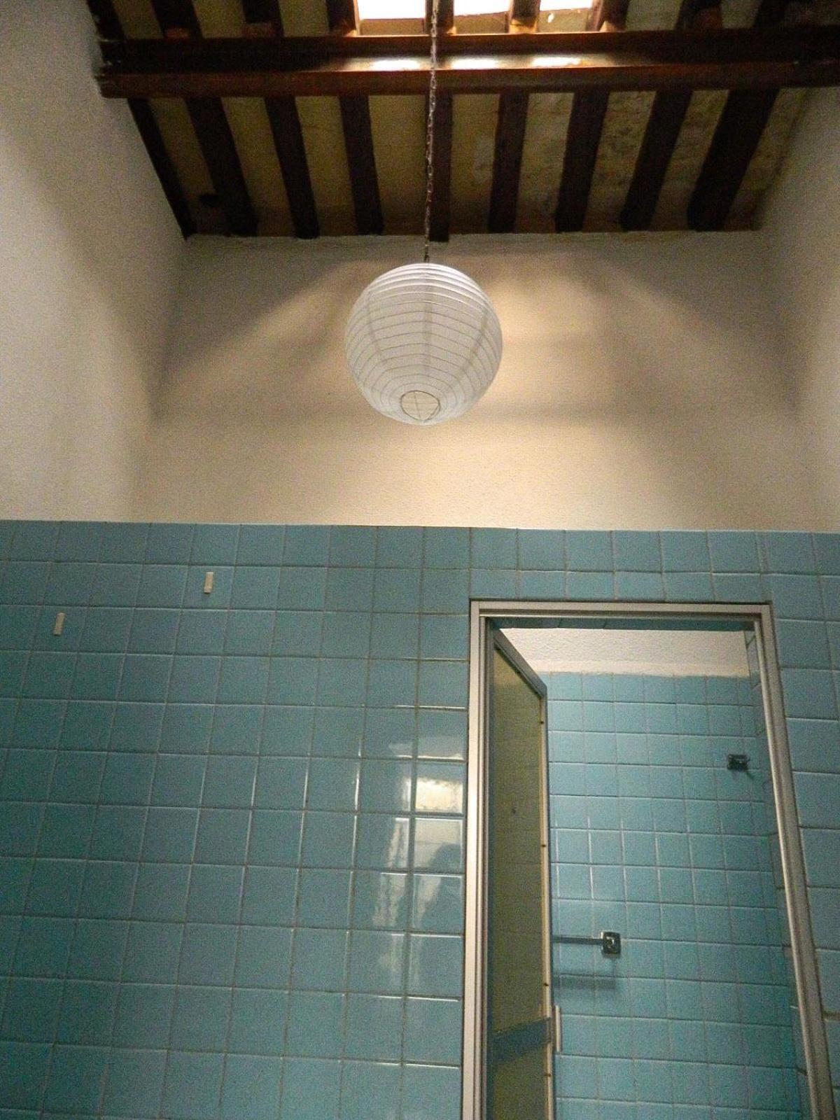 Lele Panchito Y Lavanda Juntos En El Centro Querétaro Dış mekan fotoğraf