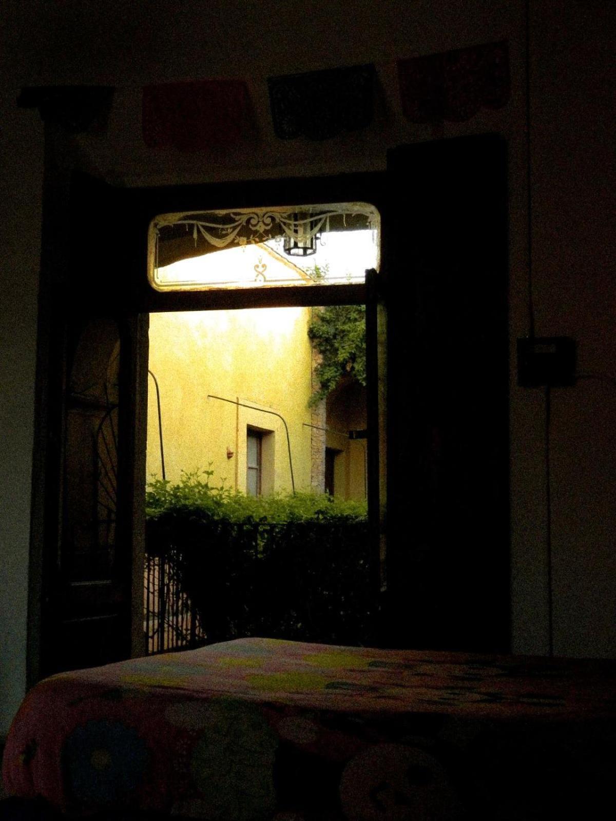 Lele Panchito Y Lavanda Juntos En El Centro Querétaro Dış mekan fotoğraf