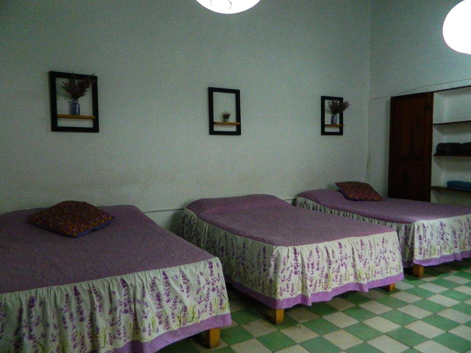 Lele Panchito Y Lavanda Juntos En El Centro Querétaro Dış mekan fotoğraf