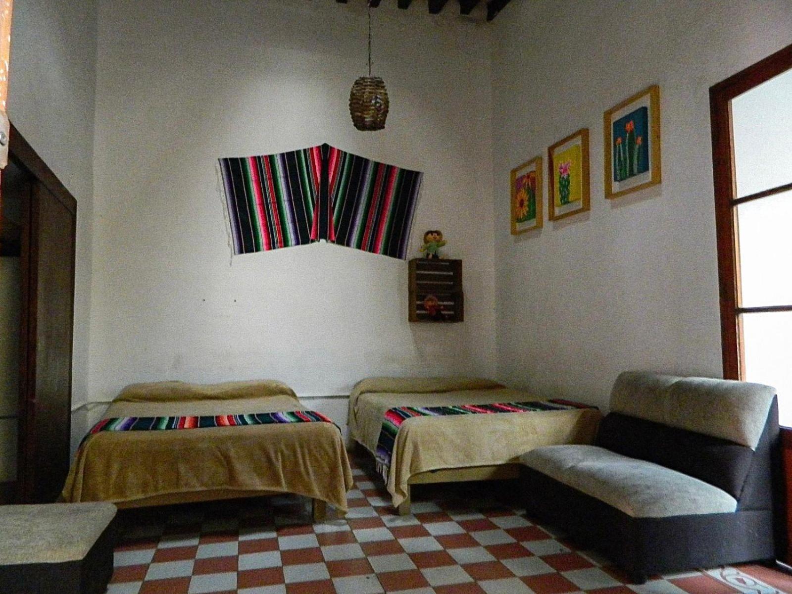 Lele Panchito Y Lavanda Juntos En El Centro Querétaro Dış mekan fotoğraf